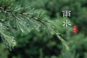 雨水节气的特点